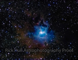 IRIS Nebula