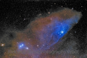 Blue Horse Head Reflection Nebula and Dust Cloud