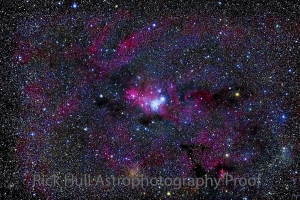 Cone Nebula & XMAS Tree Cluster