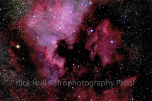 North American & Pelican Nebulae